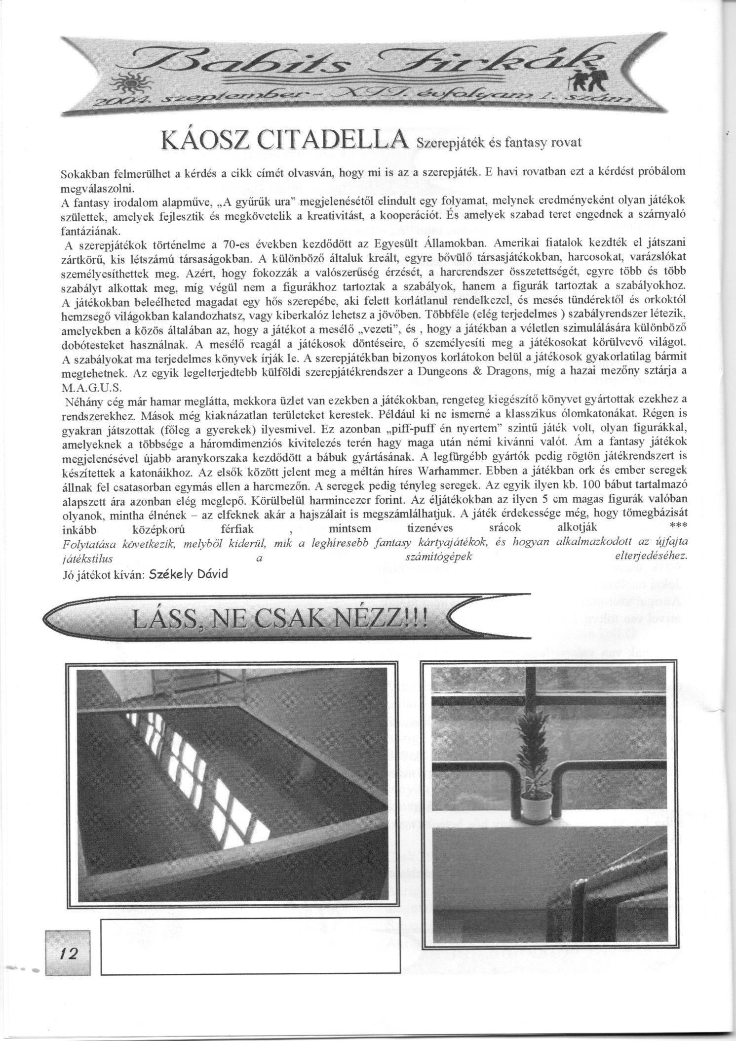 A Babits Firkák 2004. szeptemberi számának 12. oldala, Káosz Citadella rovat